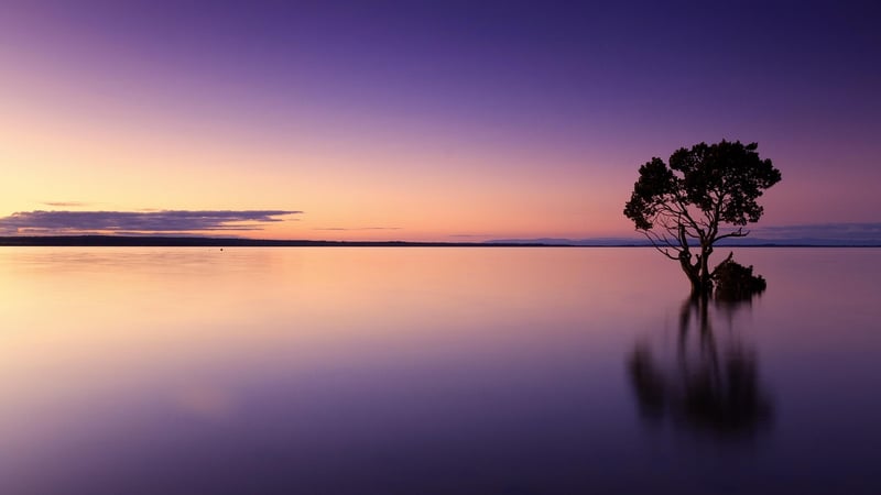 Tai Chi in Nature